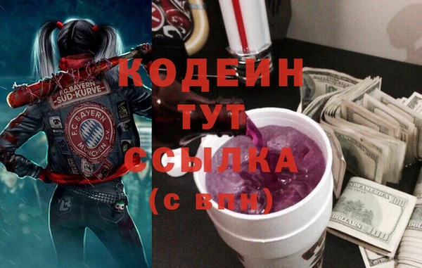гашик Богородск