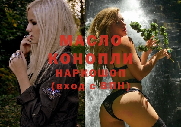 гашик Богородск
